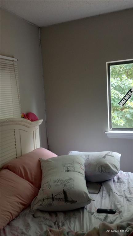 80 Place Fontaine, Lithonia, GA 30038 - view of bedroom
