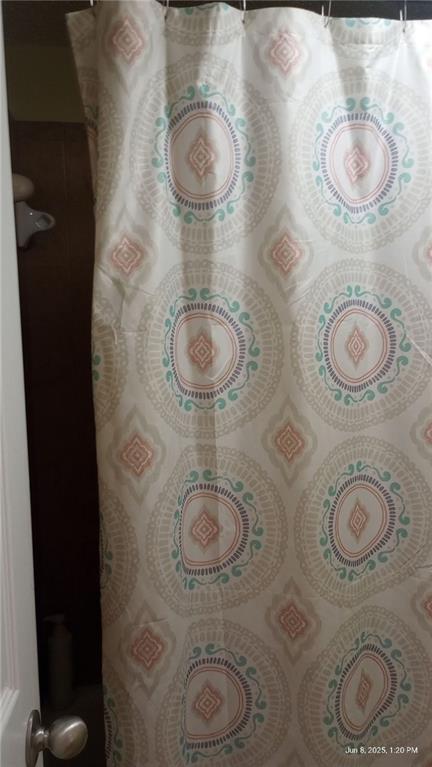 80 Place Fontaine, Lithonia, GA 30038 - detailed view of curtained shower