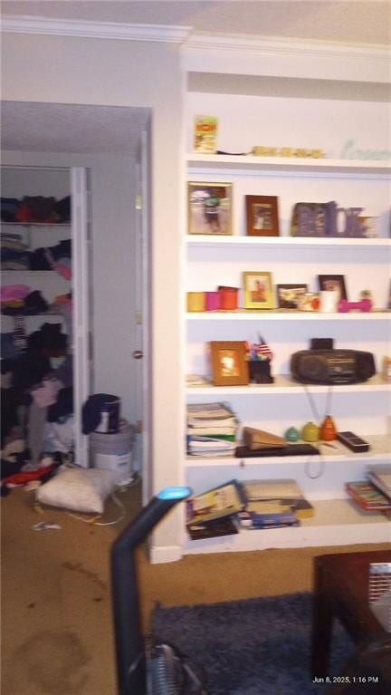 80 Place Fontaine, Lithonia, GA 30038 - view of storage area