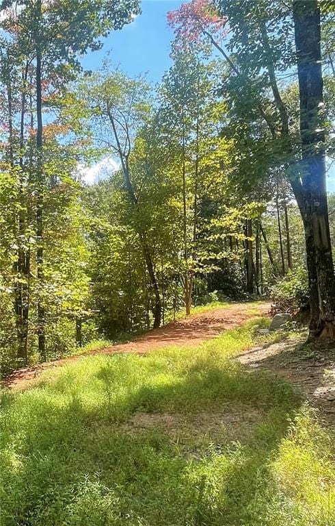 N/A Chimney Mountain Rd, Sautee Nacoochee GA, 30571 land for sale