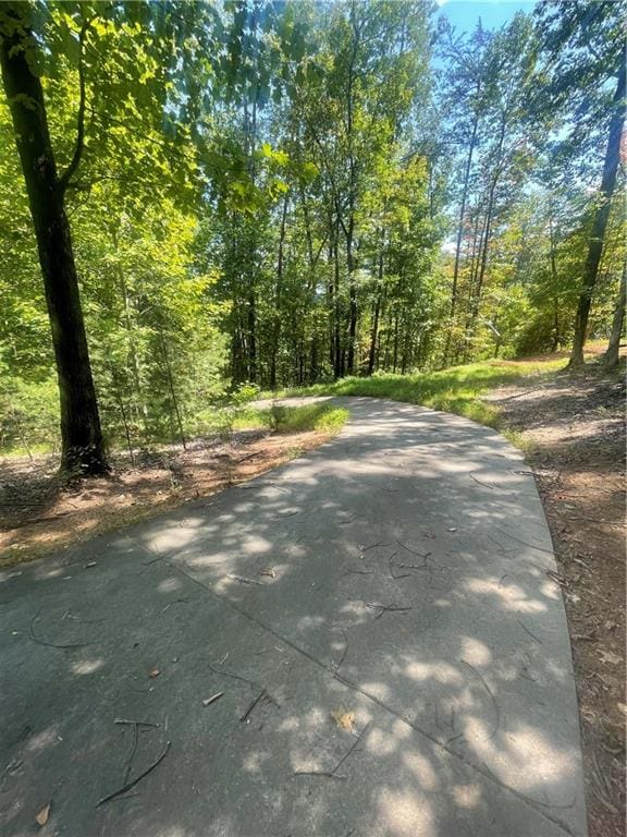 Listing photo 2 for N/A Chimney Mountain Rd, Sautee Nacoochee GA 30571