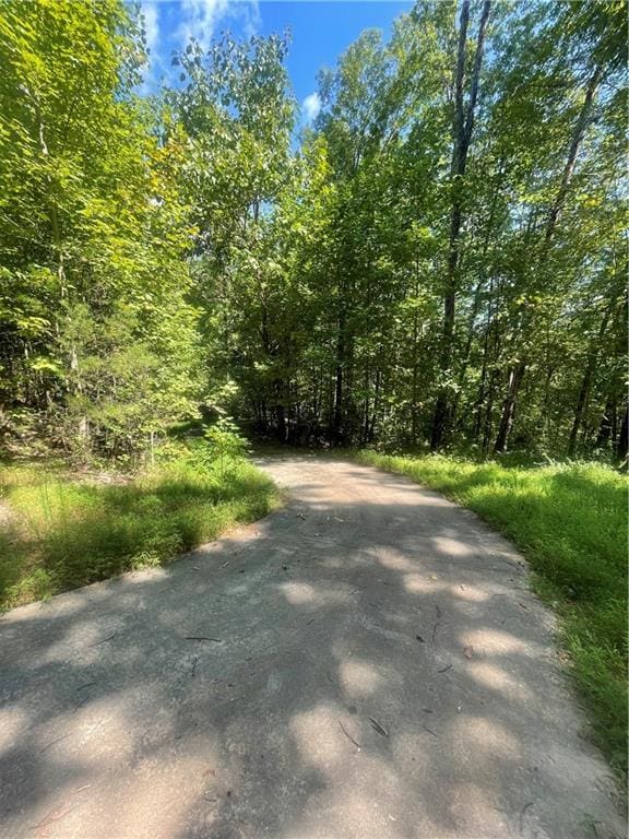 Listing photo 3 for N/A Chimney Mountain Rd, Sautee Nacoochee GA 30571