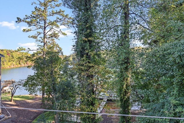 3441 Shoreland Dr, Buford, GA 30518 - water view