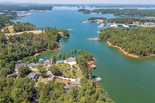 3441 Shoreland Dr, Buford, GA 30518 - bird's eye view of a large body of water and a heavily wooded area