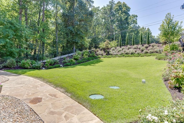 3441 Shoreland Dr, Buford, GA 30518 - view of grassy yard