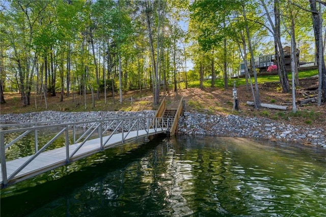 dock area with a water view