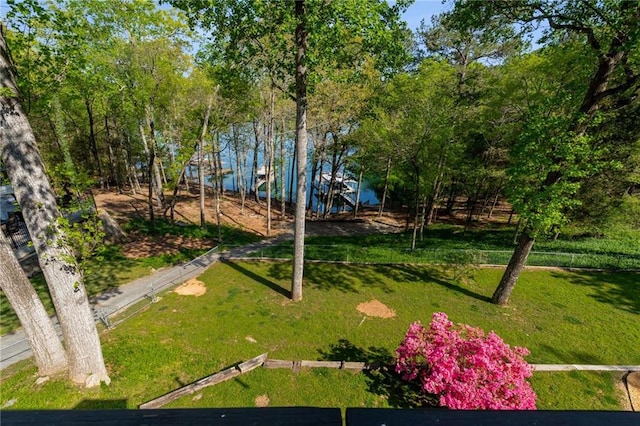 view of yard with a deck