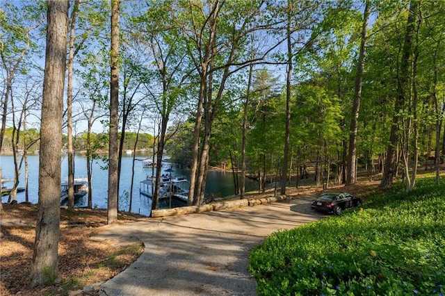 view of dock featuring a water view