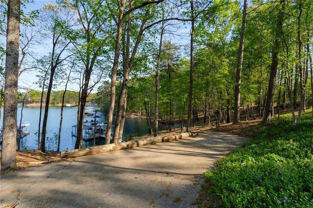 dock area featuring a water view