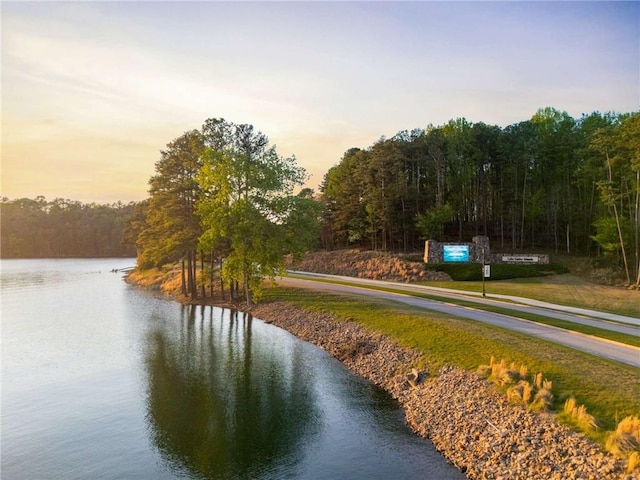 birds eye view of property featuring a forest view and a water view