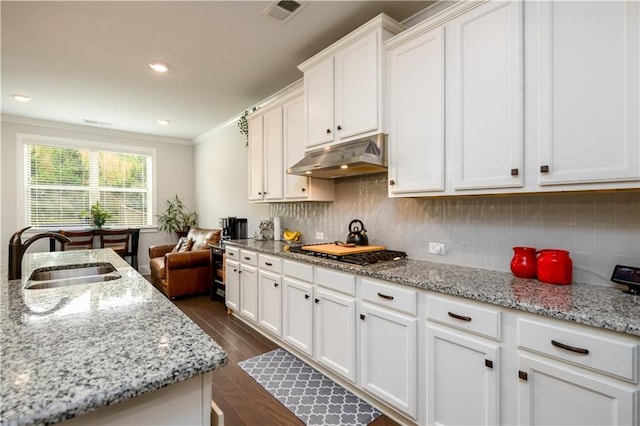 kitchen with under cabinet range hood, a sink, stainless steel gas stovetop, backsplash, and ornamental molding