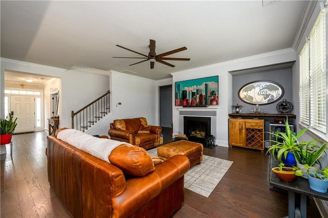 living area with crown molding, hardwood / wood-style flooring, stairs, ceiling fan, and a fireplace with flush hearth
