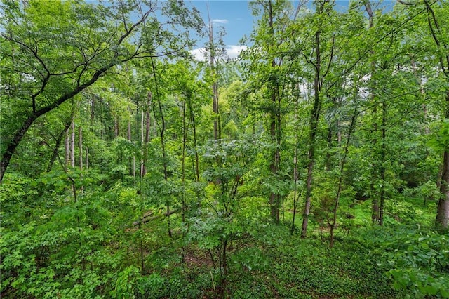 2986 Edenberry Ln NW, Kennesaw, GA 30152 - view of tree filled area