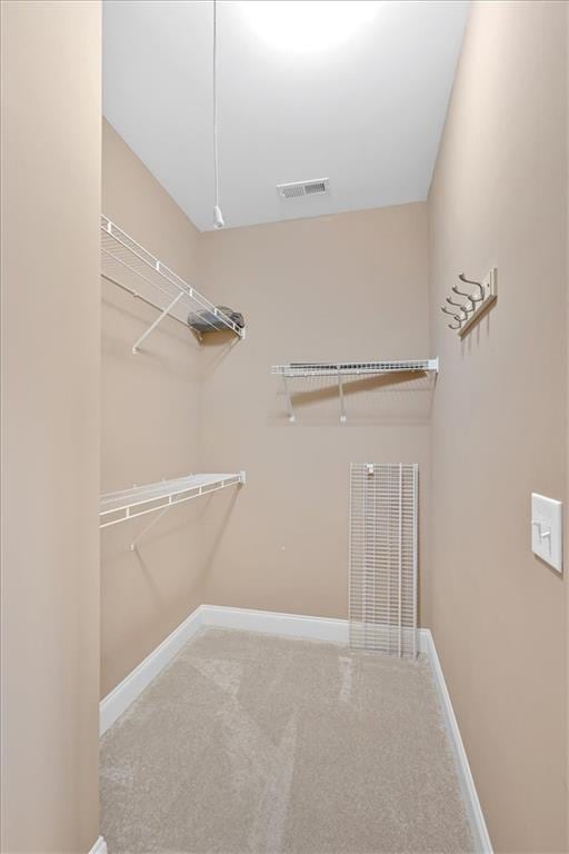 17 River Walk Pkwy, Euharlee, GA 30145 - spacious closet with carpet flooring