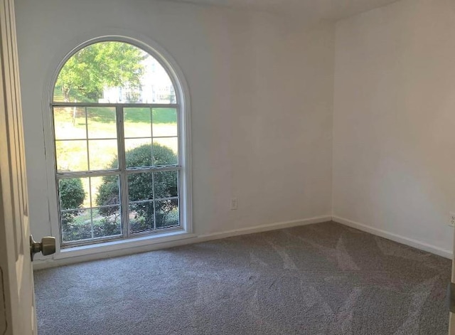 spare room with carpet floors