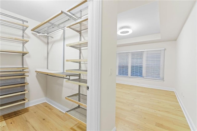 spacious closet featuring hardwood / wood-style flooring and a raised ceiling