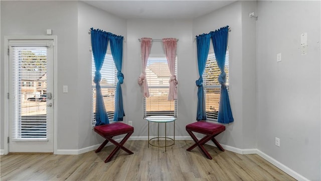 living area with light hardwood / wood-style flooring