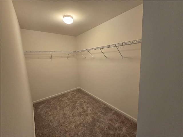 5521 Shallow Branch Dr, Flowery Branch, GA 30542 - spacious closet with dark carpet