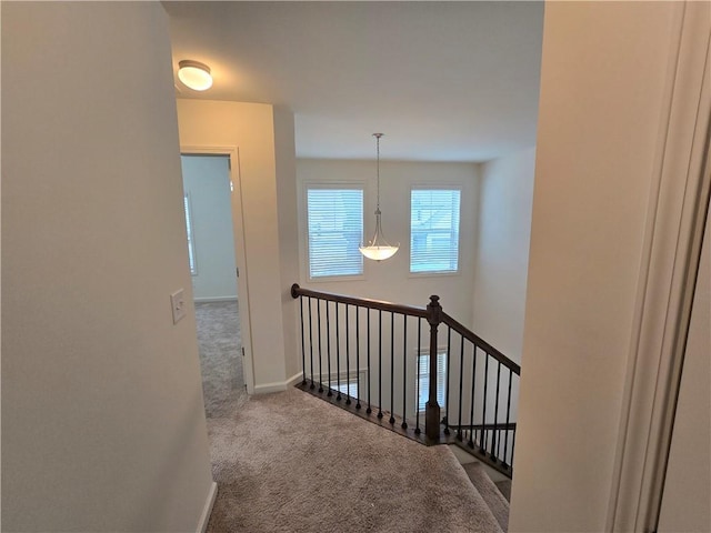5521 Shallow Branch Dr, Flowery Branch, GA 30542 - hall featuring carpet floors, an upstairs landing, and baseboards