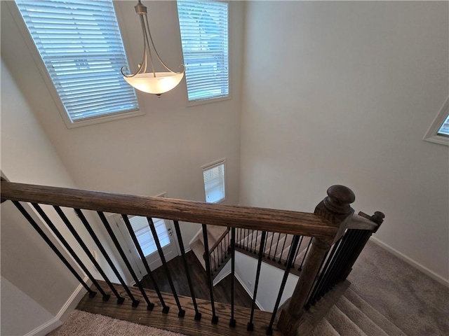 5521 Shallow Branch Dr, Flowery Branch, GA 30542 - staircase with baseboards and carpet