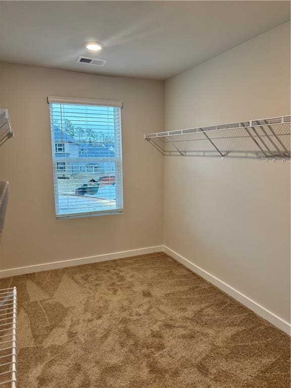 spacious closet with carpet flooring