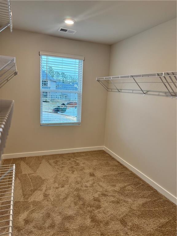 walk in closet featuring carpet floors and visible vents