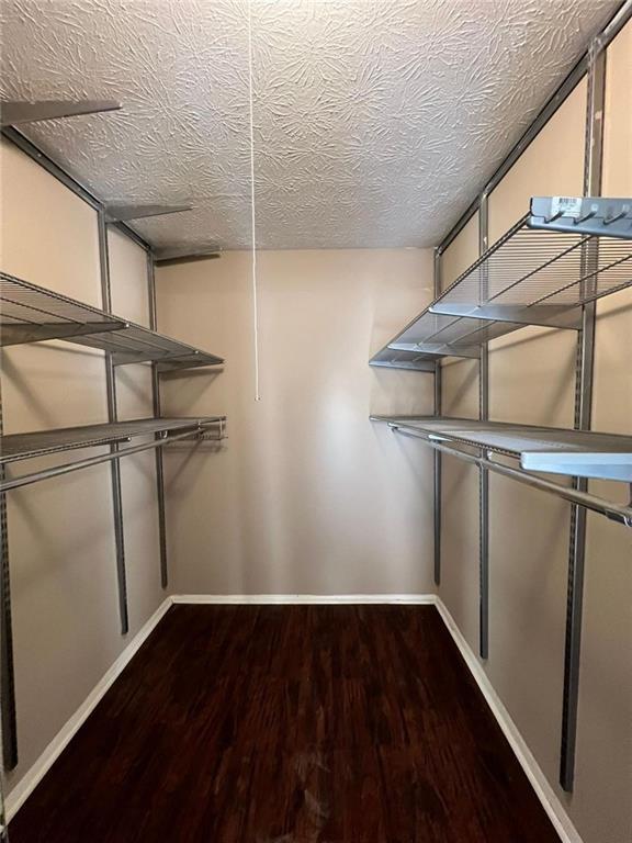 spacious closet with dark hardwood / wood-style flooring