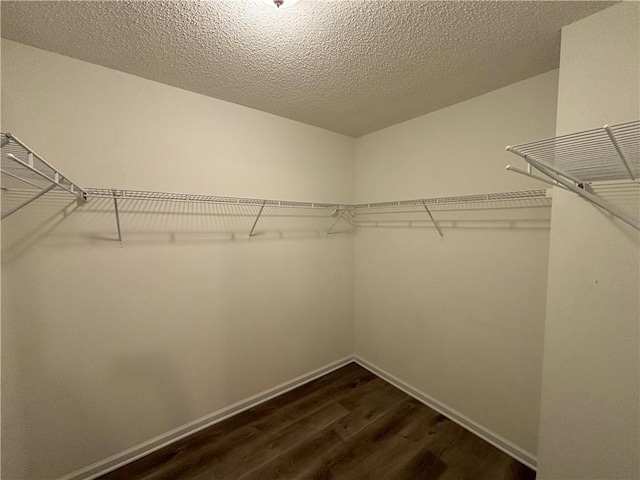 walk in closet with dark wood-type flooring