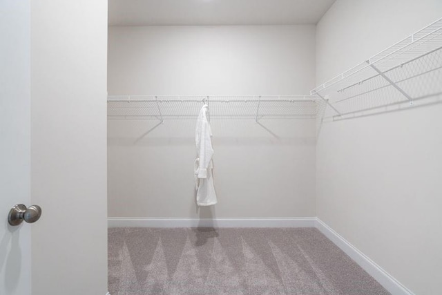 5315 Trescott Path, Cumming, GA 30028 - spacious closet with carpet