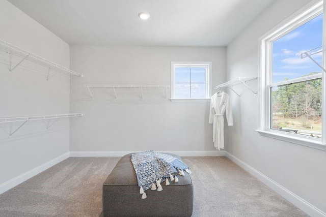 5315 Trescott Path, Cumming, GA 30028 - walk in closet with carpet