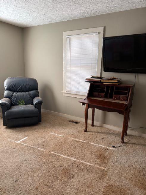 living area featuring carpet floors and a textured ceiling