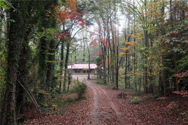 view of dirt / gravel road with a view of trees