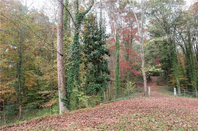 view of woods
