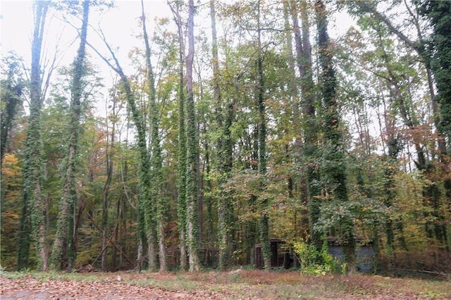 view of woods
