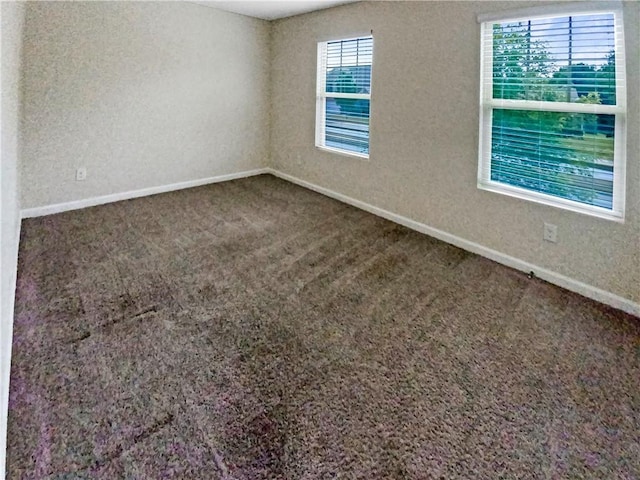 spare room with carpet flooring and plenty of natural light