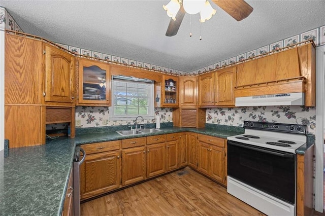 kitchen featuring brown cabinets, range with electric cooktop, under cabinet range hood, a sink, and a textured ceiling