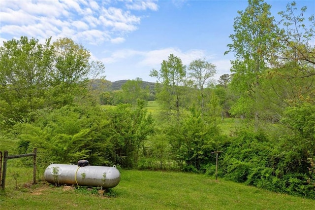 view of yard featuring a forest view