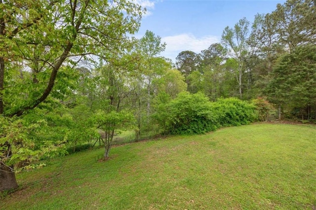view of yard featuring a view of trees