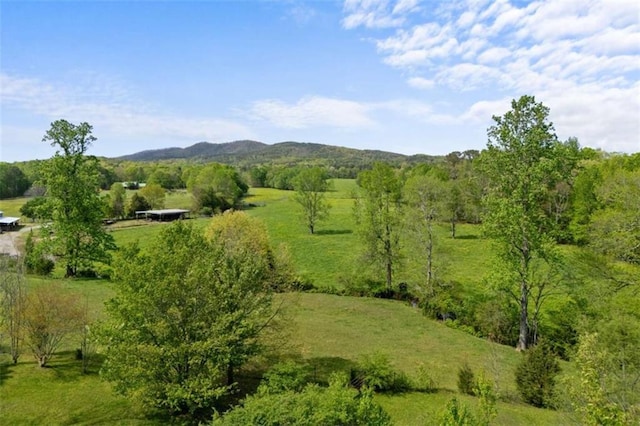 bird's eye view featuring a mountain view and a rural view