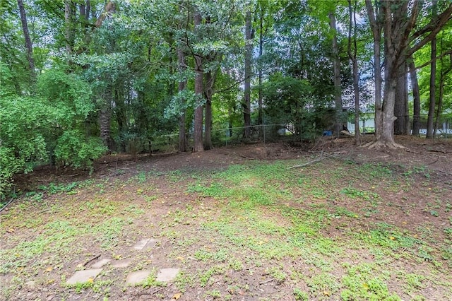 2247 Cherokee Valley Dr, Lithonia, GA 30058 - view of yard