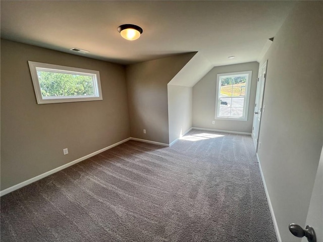 additional living space with lofted ceiling and carpet flooring