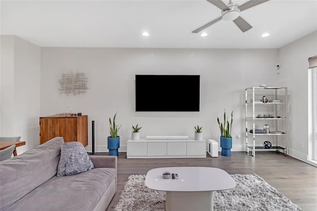 living room with ceiling fan and hardwood / wood-style floors