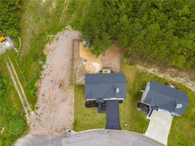 bird's eye view