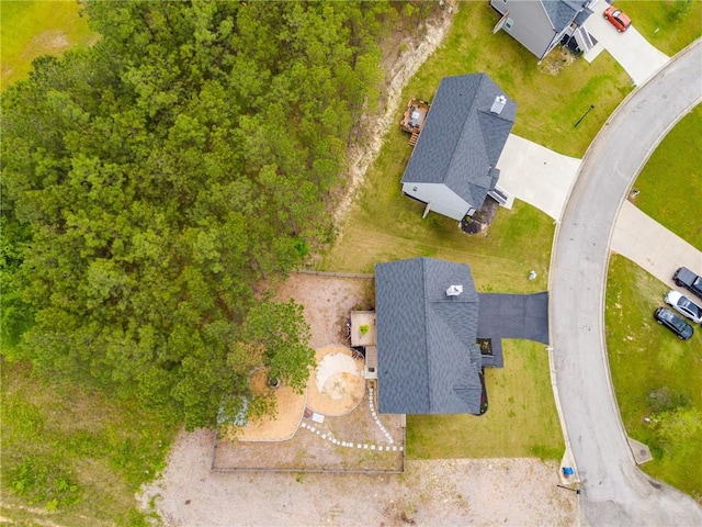 bird's eye view
