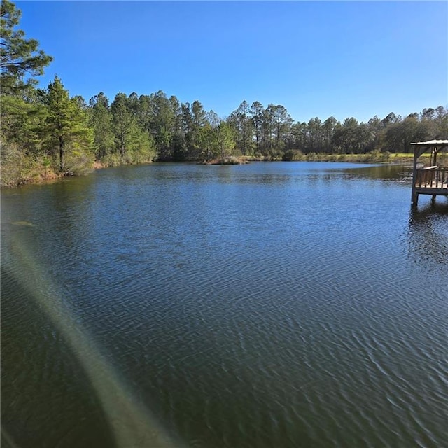 property view of water