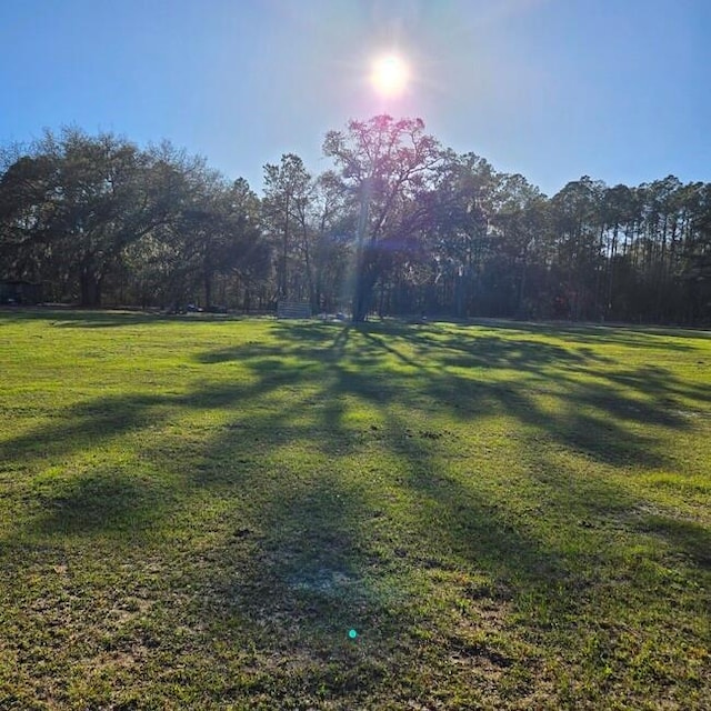 view of yard featuring a forest view