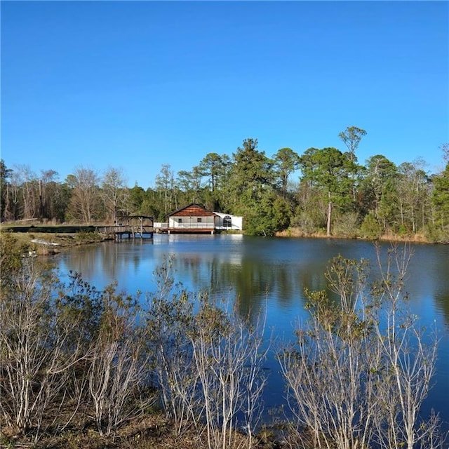 property view of water with a view of trees