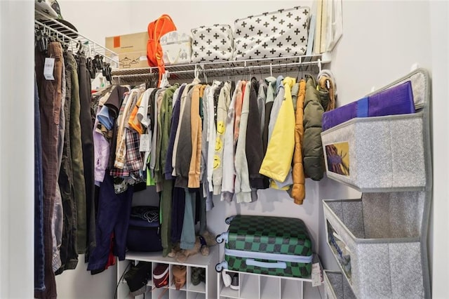 66 Cottontail Ln, Loganville, GA 30052 - view of walk in closet