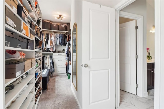 66 Cottontail Ln, Loganville, GA 30052 - view of spacious closet