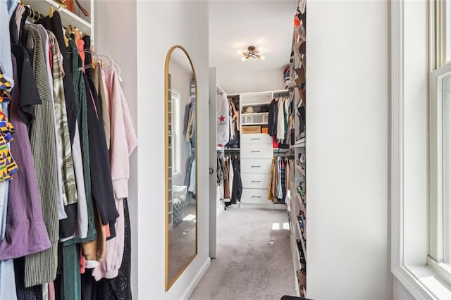 66 Cottontail Ln, Loganville, GA 30052 - spacious closet with carpet